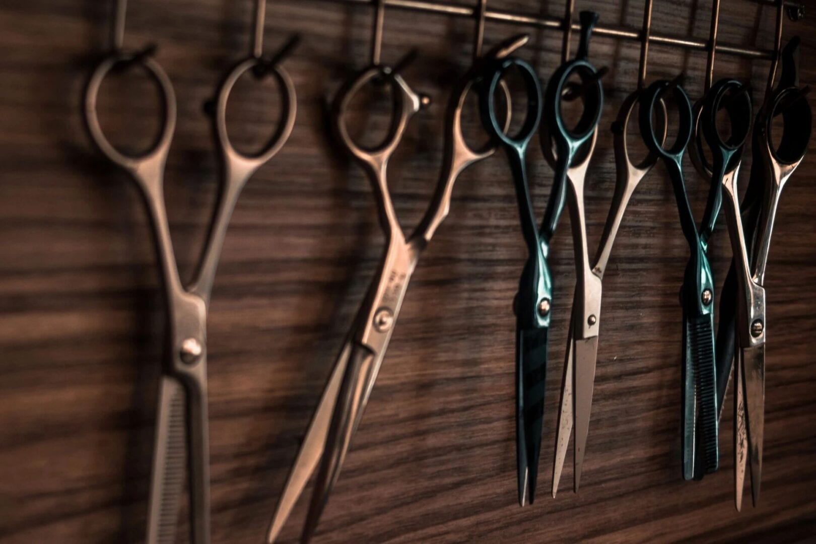 A row of scissors hanging on the wall.