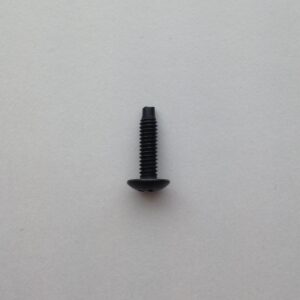 A black screw with one tooth on the side.