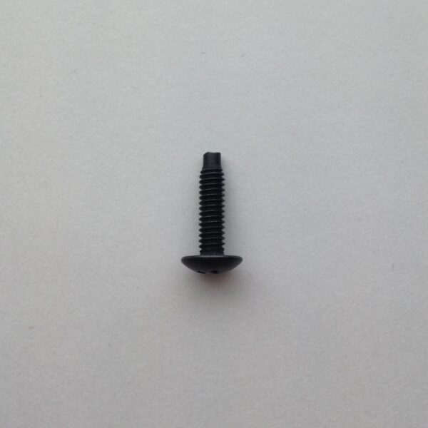 A black screw with one tooth on the side.