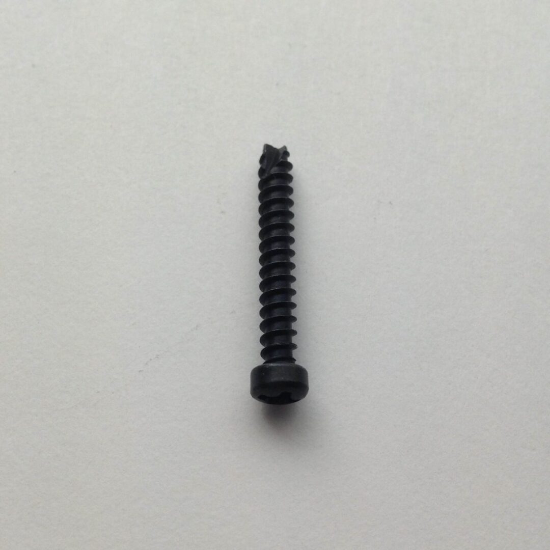 A black screw is on the wall