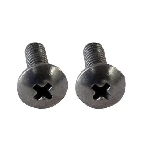 A pair of stainless steel screws with cross head.