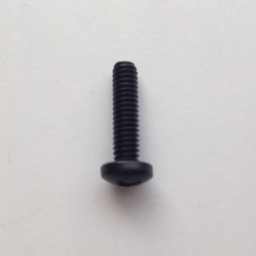 A black screw is on the ground